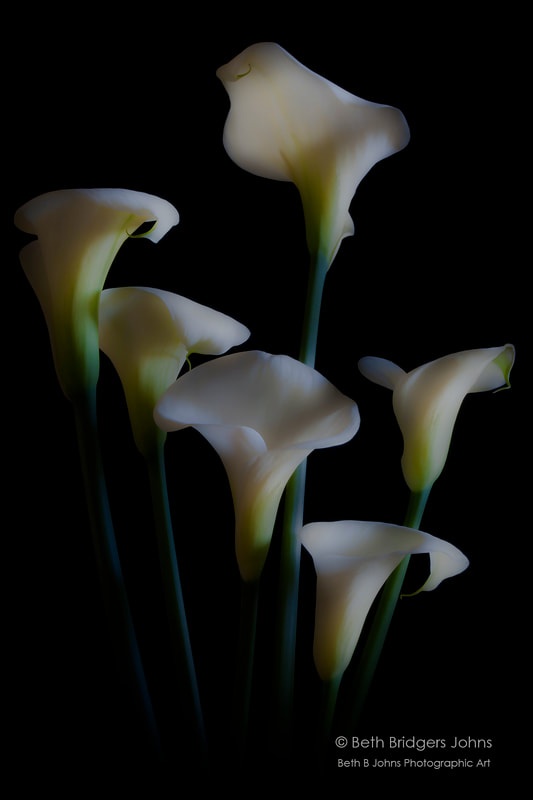 Calla Lilies, Beth B Johns Photographic Art