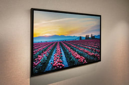 Skagit Valley Sunrise with thin black floater frame on wall, Beth B Johns Photographic Art