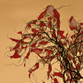 Graphic of Tree Limbs, Beth B Johns Photographic Art