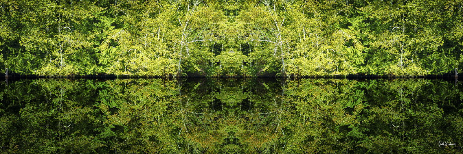 Composite Photograph of Reflections, Beth B Johns Photographic Art