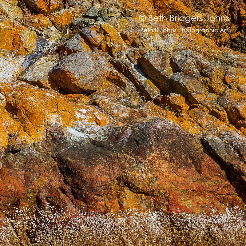 Lichen and Barnacles on a Rock, Beth B Johns Photographic Art