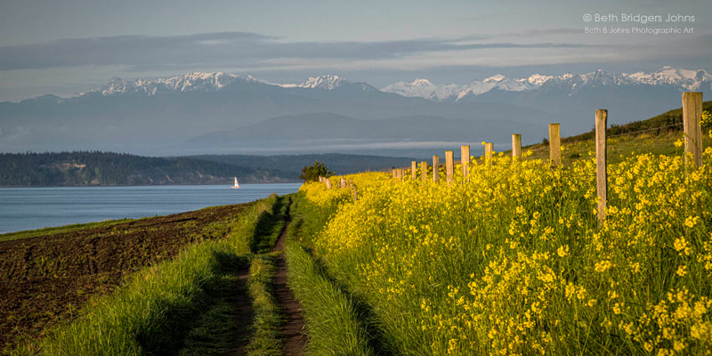 Ebey's Prairie, Ebey's Reserve, Whidbey Island, Beth B Johns Photographic Art