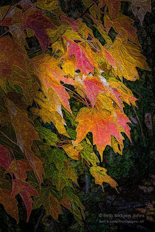 Fall Leaves, Beth B Johns Photographic Art