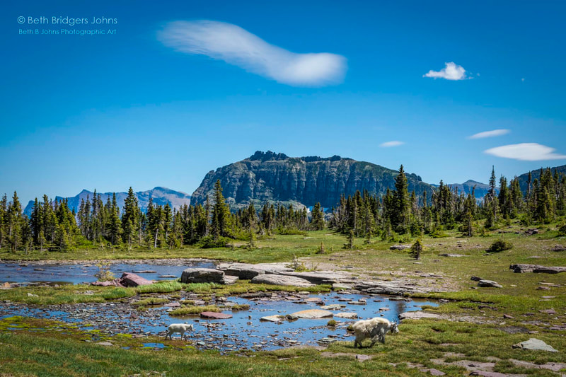 Hidden Lake Pass, Glacier National Park, Beth B Johns Photographic Art