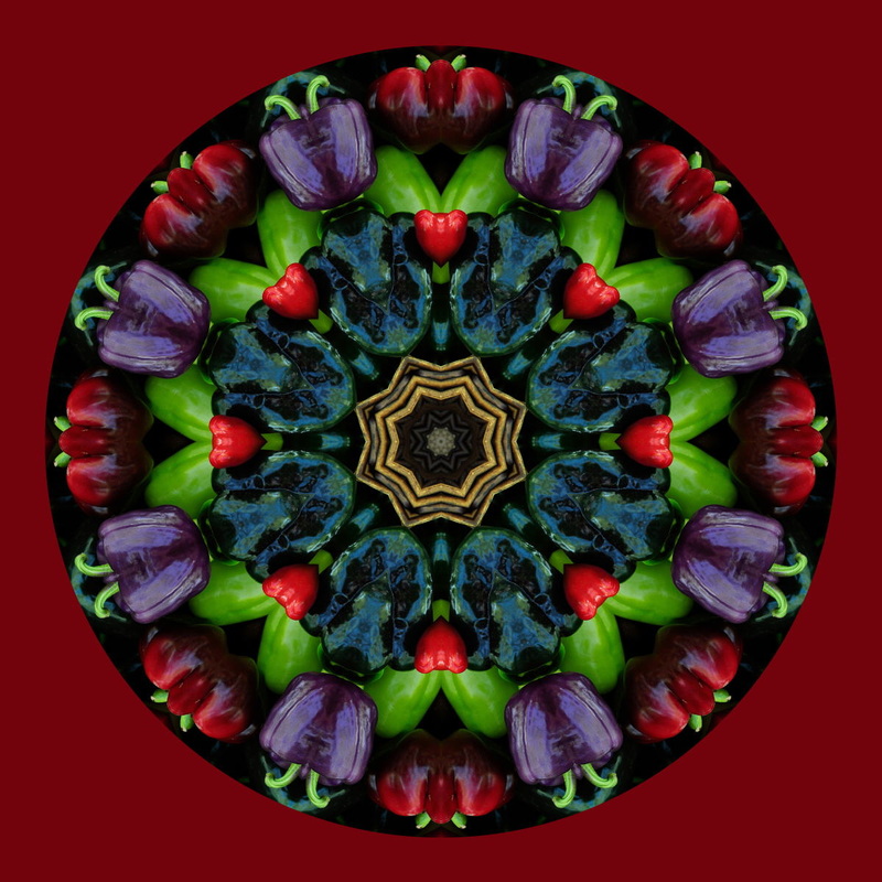 Kaleidoscopic Composite Mandala, Beth B Johns Photographic Art