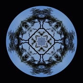 Tree Silhouette Mandala, Beth B Johns Photographic Art