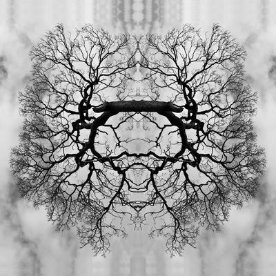 Kaleidoscopic Composite Photograph, Beth B Johns Photographic Art